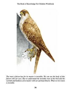 WkBk-1-Page-54-58-copy